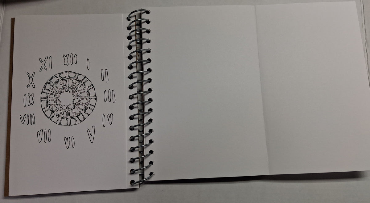 Panoramic Panel Hardcover Spiral Bound Unruled Notebook/sketchbook